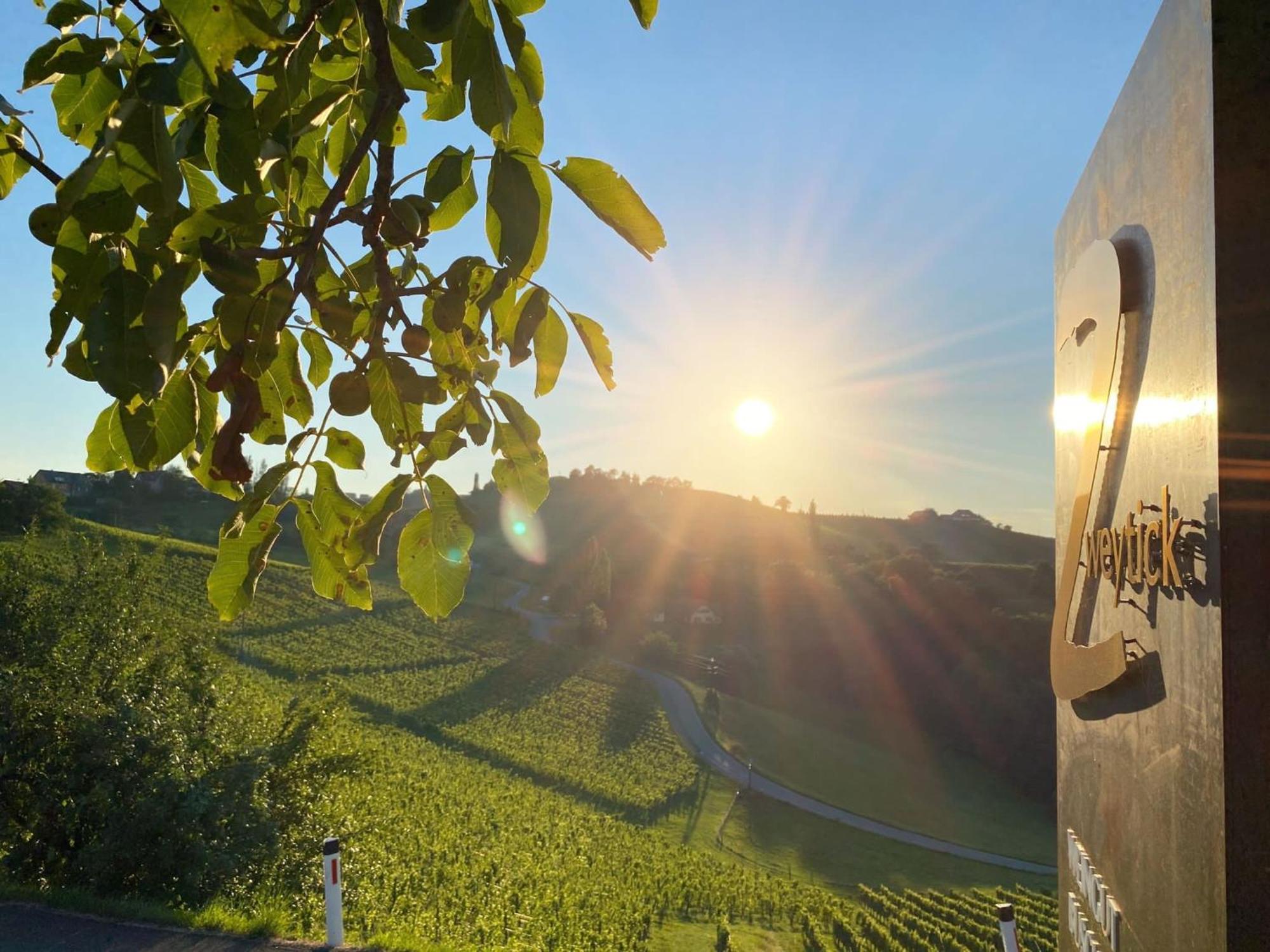 Zweytick Gaestezimmer Weingut Ratsch an der Weinstrasse Ngoại thất bức ảnh