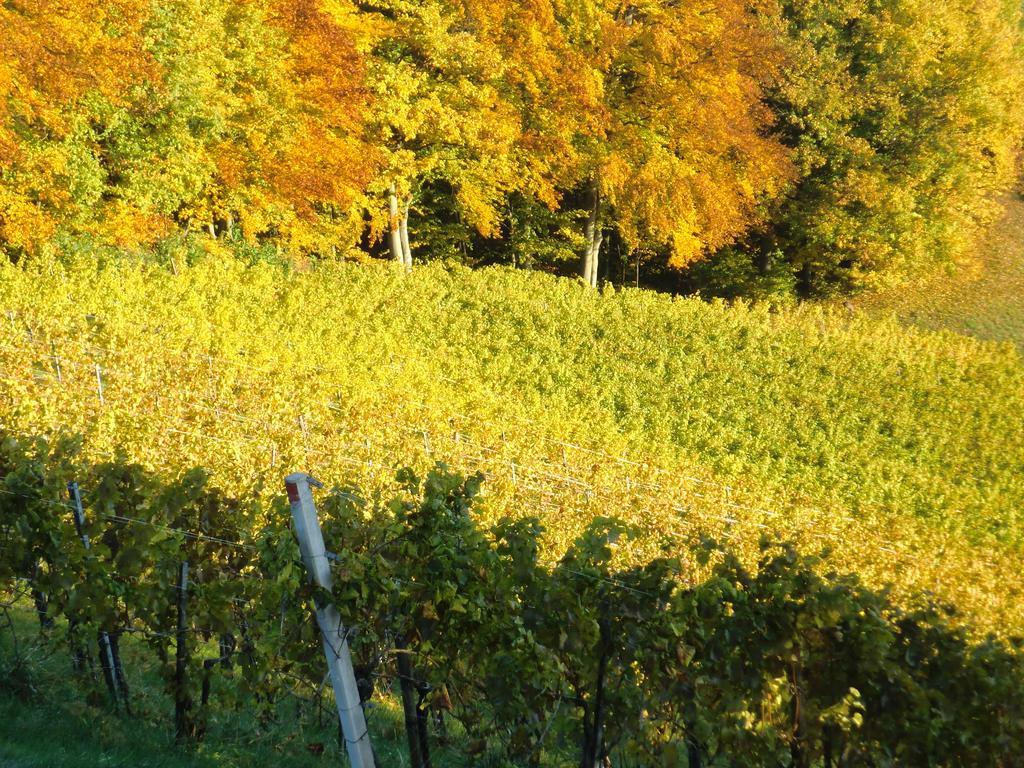 Zweytick Gaestezimmer Weingut Ratsch an der Weinstrasse Ngoại thất bức ảnh