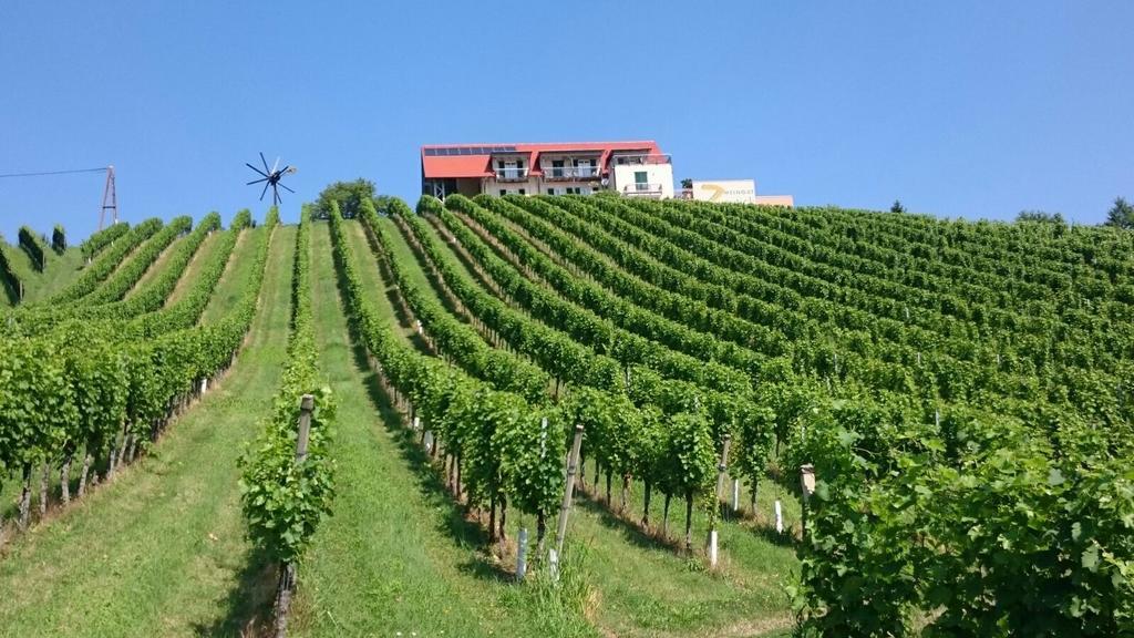 Zweytick Gaestezimmer Weingut Ratsch an der Weinstrasse Ngoại thất bức ảnh