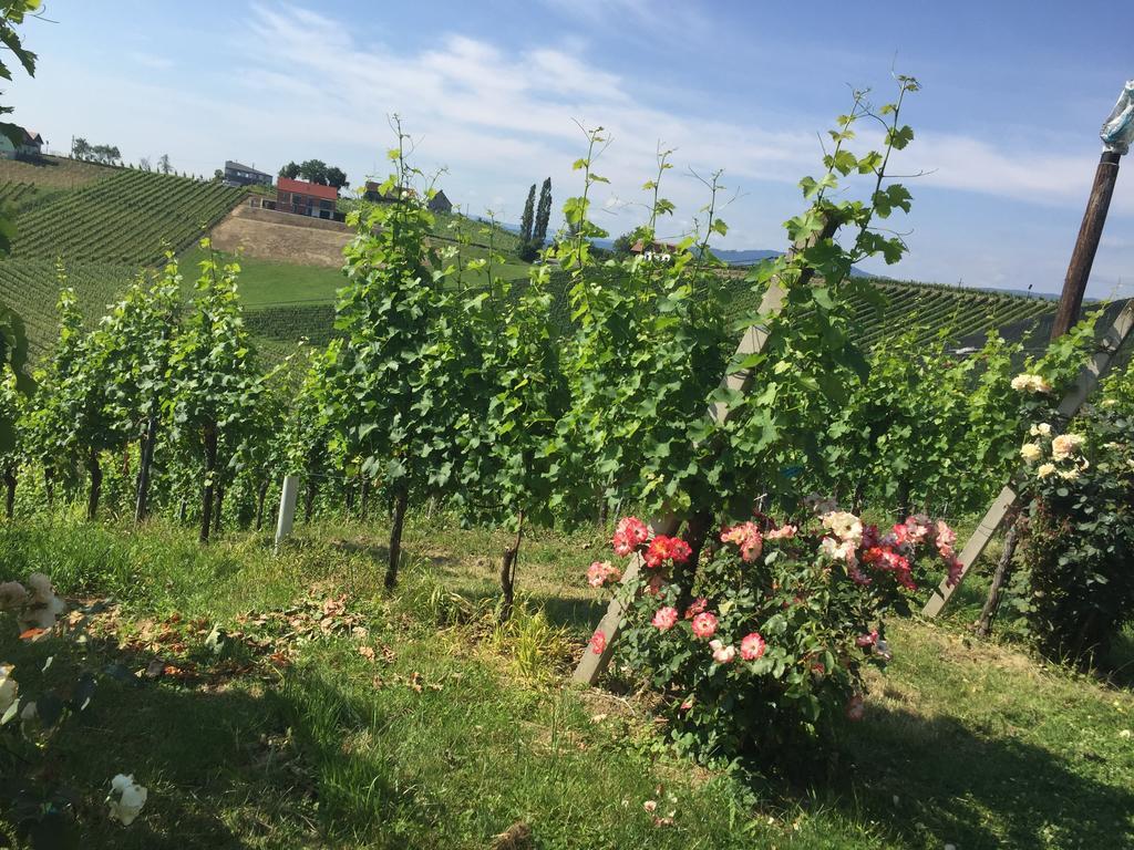Zweytick Gaestezimmer Weingut Ratsch an der Weinstrasse Ngoại thất bức ảnh
